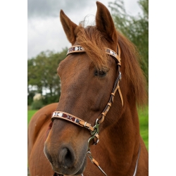 Esprit Hackamore Bitless Bridle & Reins
